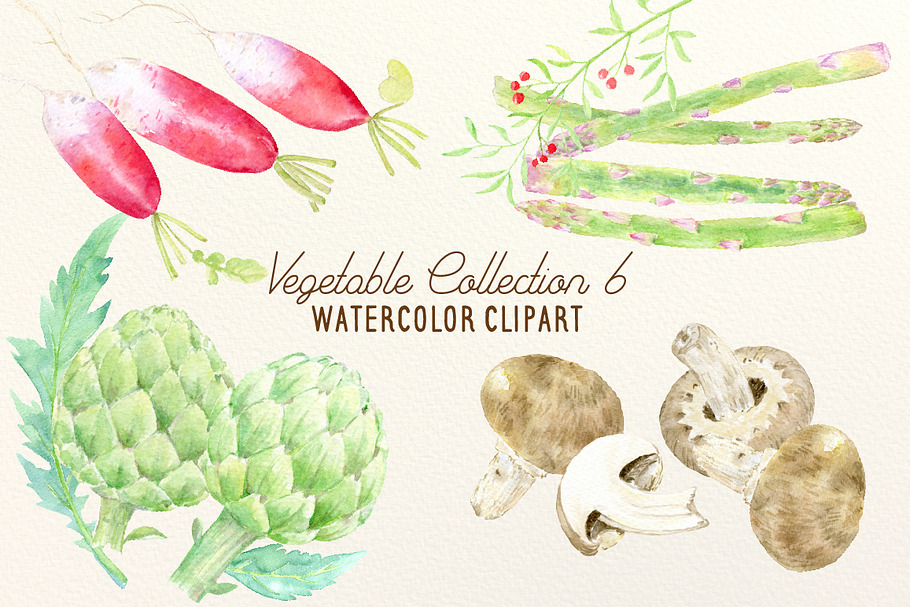 Watercolor Vegetable Collection 6 in Illustrations - product preview 8