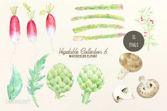 Watercolor Vegetable Collection 6 in Illustrations - product preview 1