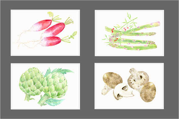 Watercolor Vegetable Collection 6 in Illustrations - product preview 2