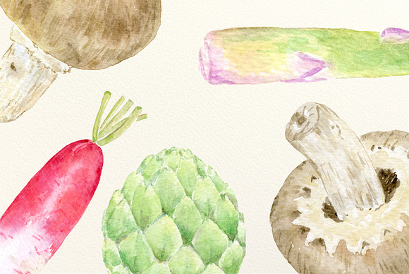 Watercolor Vegetable Collection 6 in Illustrations - product preview 4