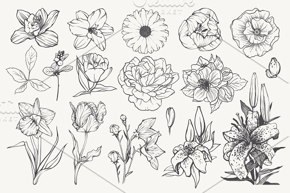 Linear vector flowers set in Illustrations - product preview 1