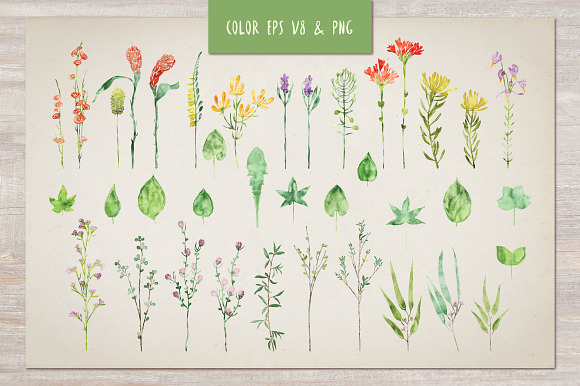 Floral watercolor brushes bundle in Photoshop Brushes - product preview 1