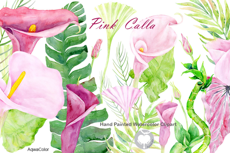 Watercolor clipart Pink Calla in Illustrations - product preview 8