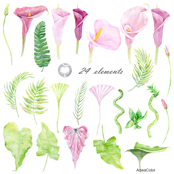 Watercolor clipart Pink Calla in Illustrations - product preview 1