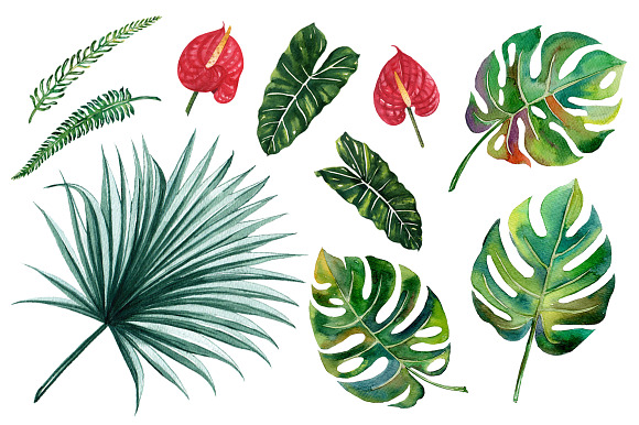Tropical Jungle Leaves- Summertime in Illustrations - product preview 1