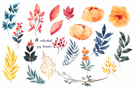 Marcella's flowers in Illustrations - product preview 1