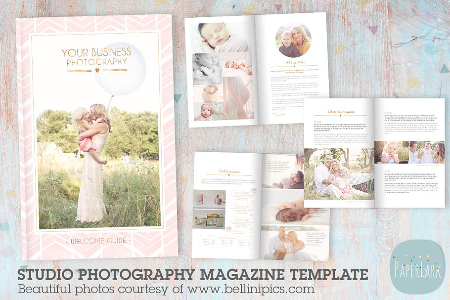 PG024 Photography Studio Magazine in Magazine Templates - product preview 8