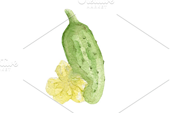 Watercolor Hand drawn veggies set in Illustrations - product preview 1