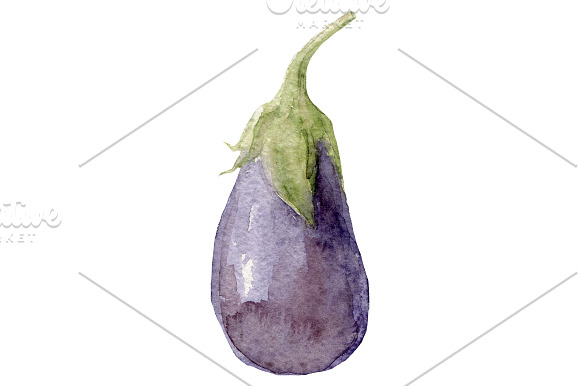 Watercolor Hand drawn veggies set in Illustrations - product preview 2