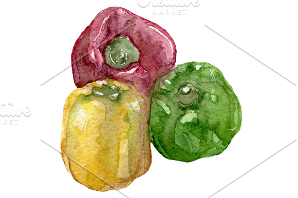 Watercolor Hand drawn veggies set in Illustrations - product preview 4
