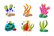 Underwater plants and creatures