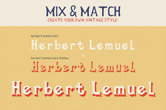 Herbert Lemuel Script in Display Fonts - product preview 11