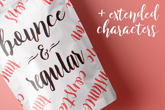 Constance Brush Font Trio in Script Fonts - product preview 6