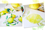 Set Watercolor "Lemons"