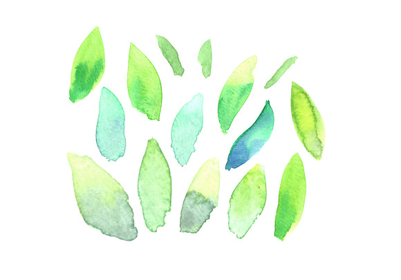 Watercolor Foliage + Pattern in Illustrations - product preview 1