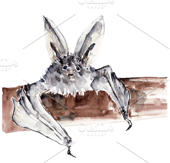 Vampire bats, watercolor/ink/vector in Illustrations - product preview 2