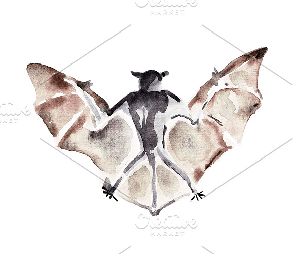 Vampire bats, watercolor/ink/vector in Illustrations - product preview 4