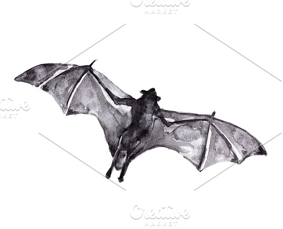 Vampire bats, watercolor/ink/vector in Illustrations - product preview 6