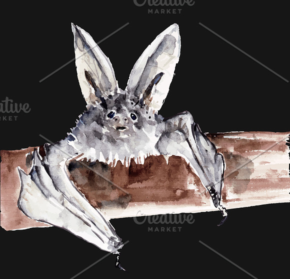 Vampire bats, watercolor/ink/vector in Illustrations - product preview 11