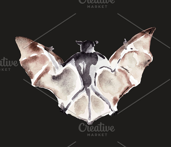 Vampire bats, watercolor/ink/vector in Illustrations - product preview 13