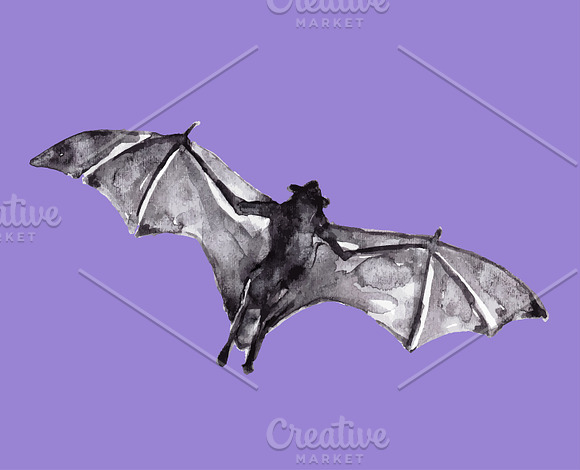 Vampire bats, watercolor/ink/vector in Illustrations - product preview 15