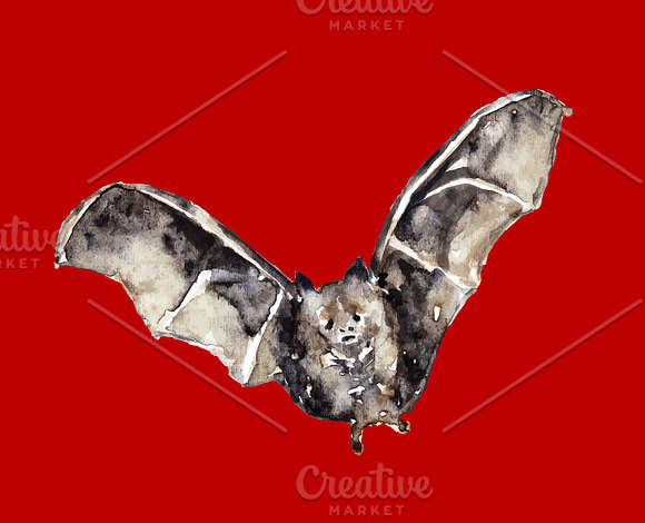 Vampire bats, watercolor/ink/vector in Illustrations - product preview 16