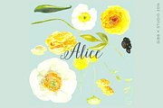 Alice Watercolor Clipart