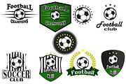 Professional sports logo football