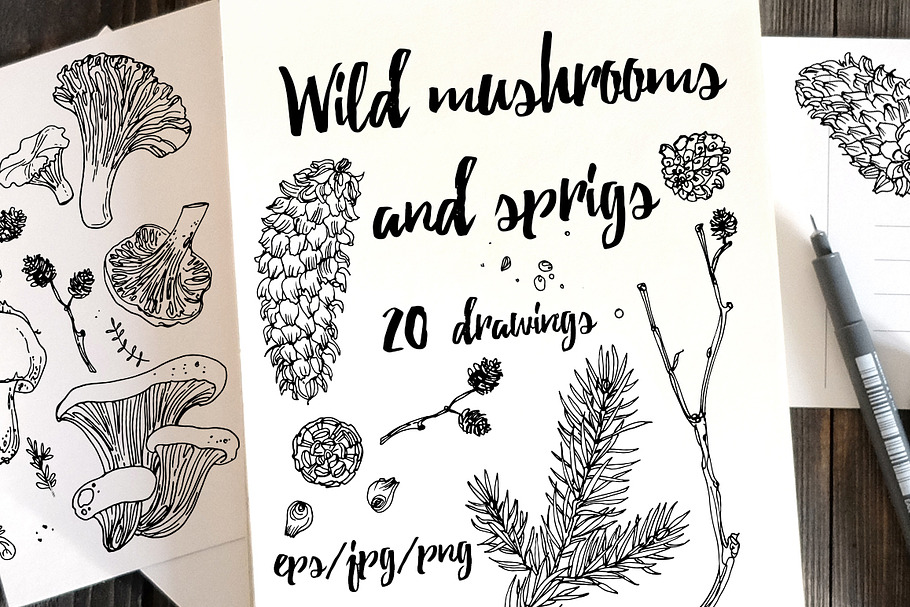 Wild mushrooms and sprigs