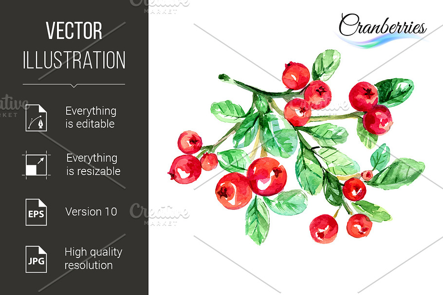 Cranberries in Graphics - product preview 8