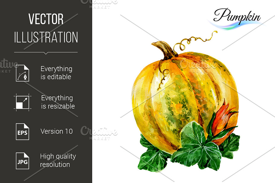 Watercolor pumpkin in Graphics - product preview 8