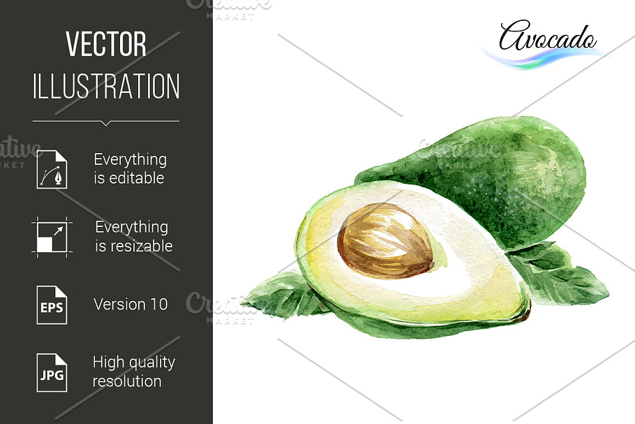 Avocado in Graphics - product preview 8