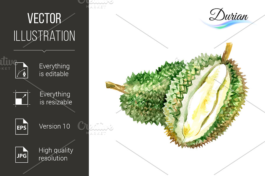 Durian in Graphics - product preview 8