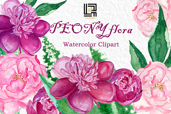 Peony flora watercolor illustrations in Illustrations - product preview 10