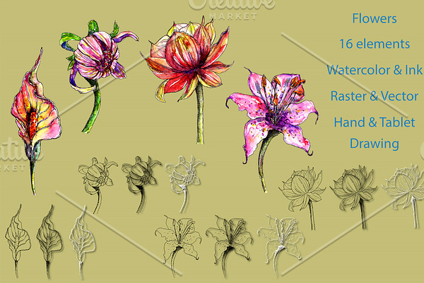 Flowers, watercolor, ink, vector