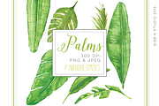 Palm Leaves Watercolor Clipart