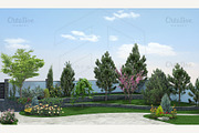 Front yard horticultural background
