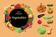 Vegetables set with Text Vector