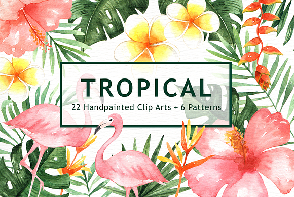 Tropical Leaves Watercolor Clipart in Illustrations - product preview 2