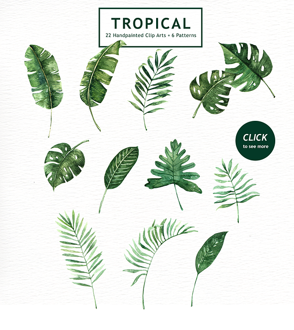 Tropical Leaves Watercolor Clipart in Illustrations - product preview 4