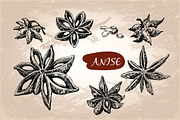 Anise. Set of vector illustrations