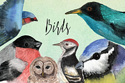 Watercolor Birds Clip Art