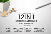 12 in 1 Brochure & Magazine + Bonus