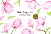 Pink Magnolia Illustration