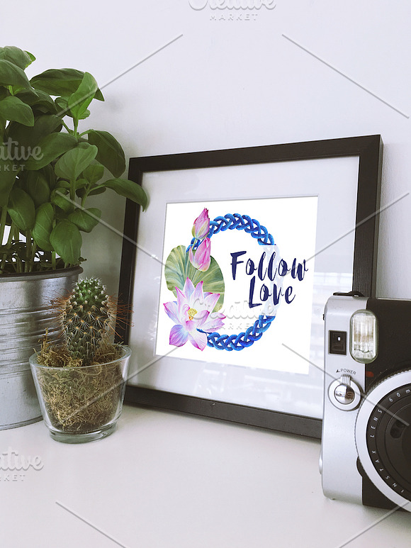 Watercolor lotuses collection in Illustrations - product preview 5