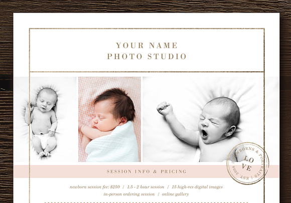 Newborn Photographer Pricing Guide in Flyer Templates - product preview 2