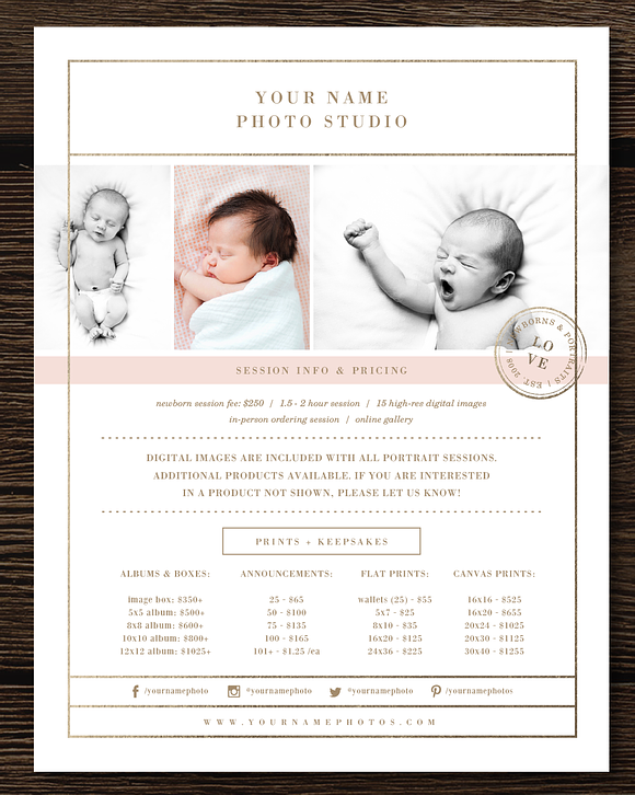 Newborn Photographer Pricing Guide in Flyer Templates - product preview 3