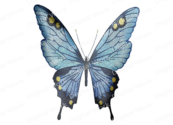 Butterfly Clip Art - Glitter  in Illustrations - product preview 2