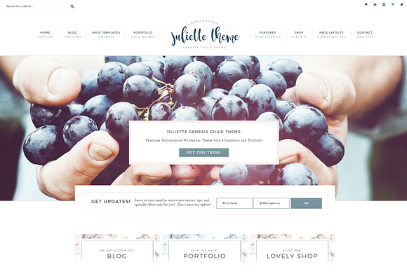 Portfolio eCommerce Genesis theme Ju in WordPress Business Themes - product preview 1