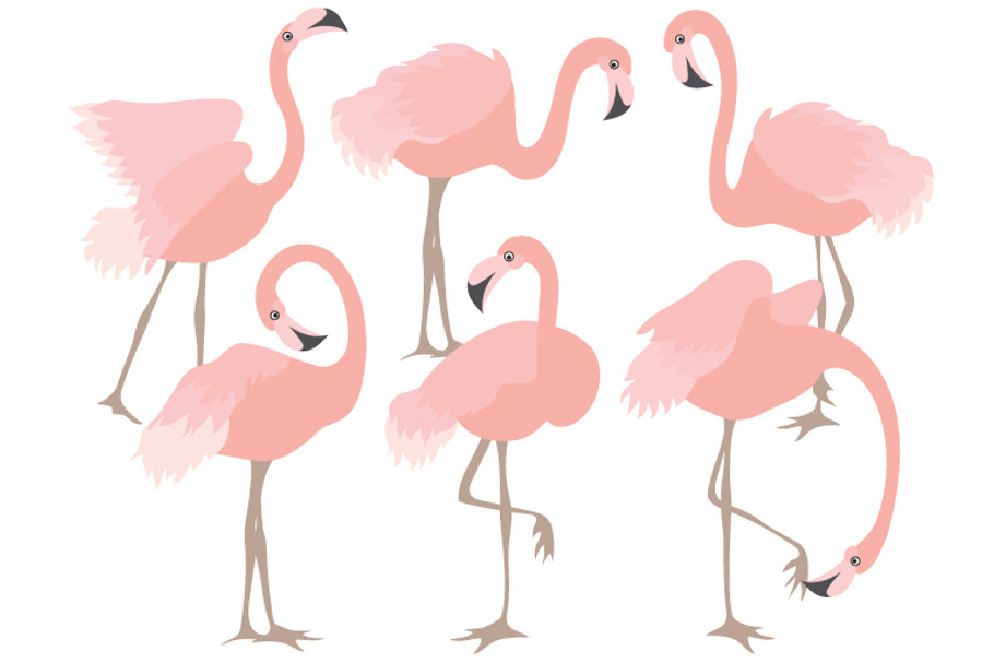 Coral Flamingo Set
